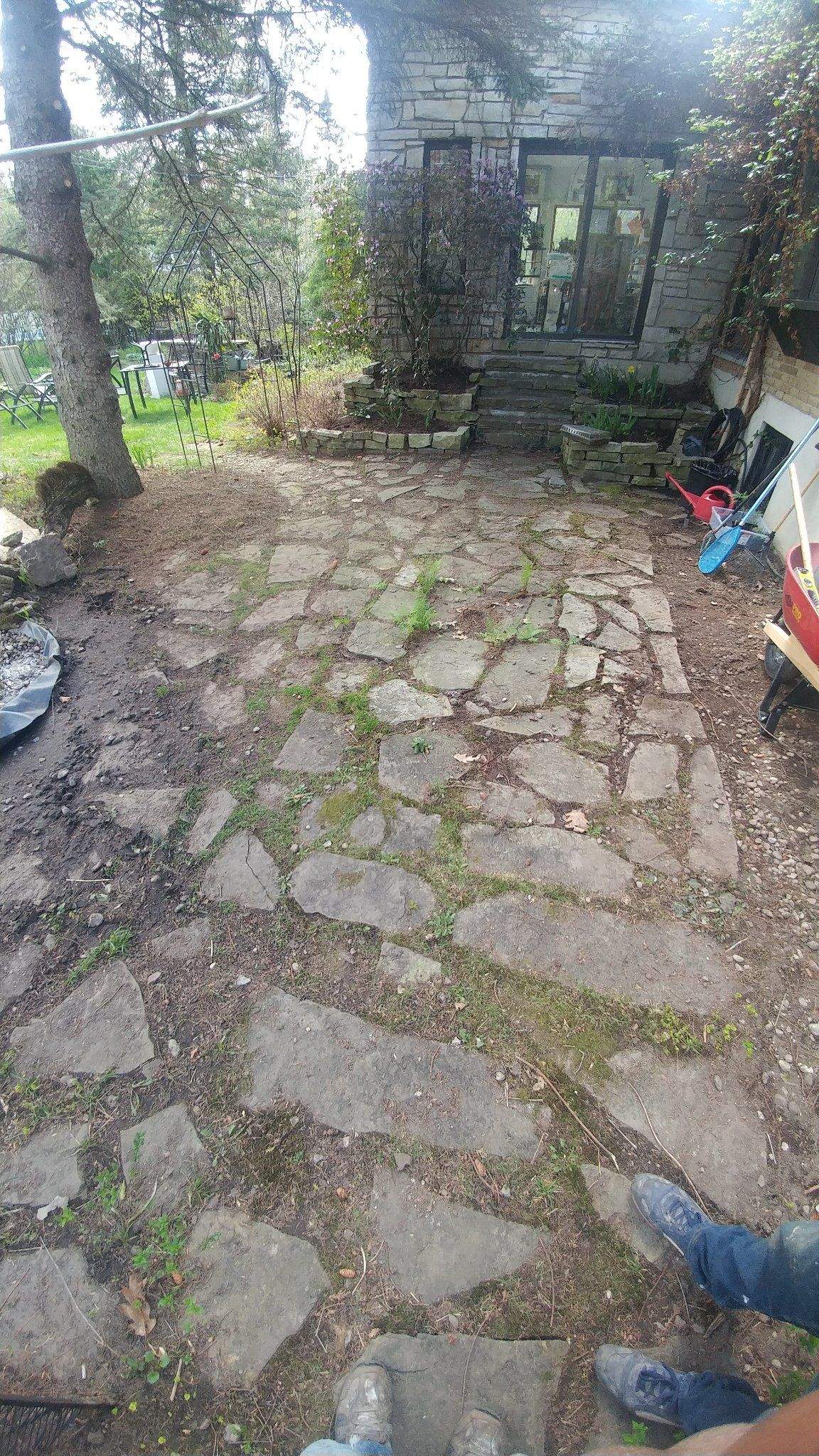 Avant : patio en dalles naturelles envahi par les mauvaises herbes et la mousse